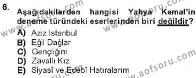 Cumhuriyet Dönemi Türk Nesri Dersi 2012 - 2013 Yılı Tek Ders Sınavı 6. Soru