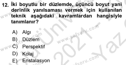 Görsel Estetik Dersi 2021 - 2022 Yılı Yaz Okulu Sınavı 12. Soru