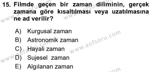 Görsel Estetik Dersi 2022 - 2023 Yılı Yaz Okulu Sınavı 15. Soru