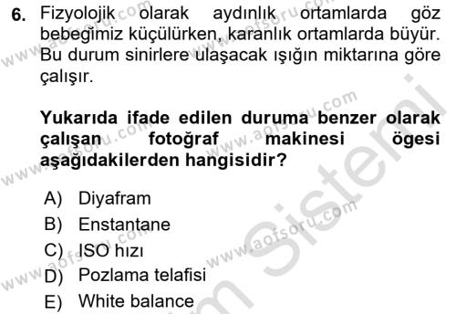 Görsel Estetik Dersi 2022 - 2023 Yılı Yaz Okulu Sınavı 6. Soru