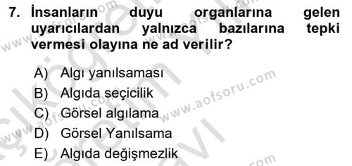 Görsel Estetik Dersi 2022 - 2023 Yılı Yaz Okulu Sınavı 7. Soru