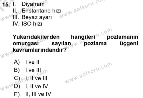 Görsel Estetik Dersi 2023 - 2024 Yılı (Vize) Ara Sınavı 15. Soru