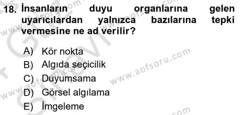 Görsel Estetik Dersi 2023 - 2024 Yılı (Vize) Ara Sınavı 18. Soru