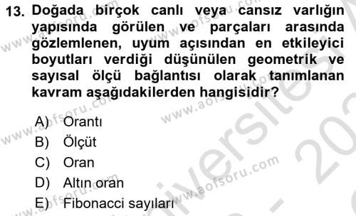 Görsel Estetik Dersi 2023 - 2024 Yılı Yaz Okulu Sınavı 13. Soru