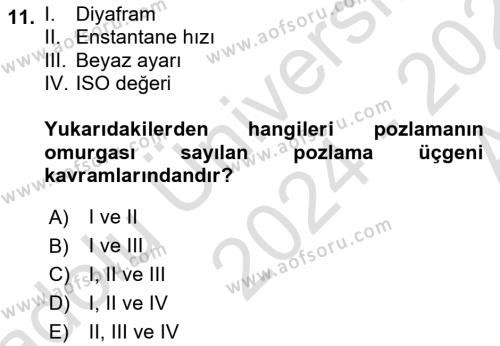 Görsel Estetik Dersi 2024 - 2025 Yılı (Vize) Ara Sınavı 11. Soru