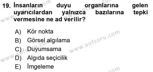 Görsel Estetik Dersi 2024 - 2025 Yılı (Vize) Ara Sınavı 19. Soru