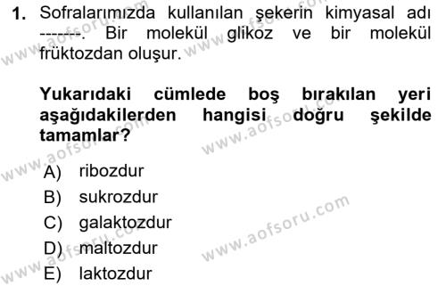 Genel Beslenme Dersi 2022 - 2023 Yılı Yaz Okulu Sınavı 1. Soru