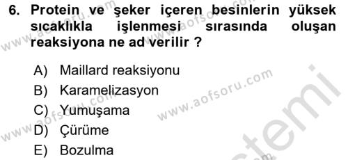 Genel Beslenme Dersi 2023 - 2024 Yılı (Final) Dönem Sonu Sınavı 6. Soru