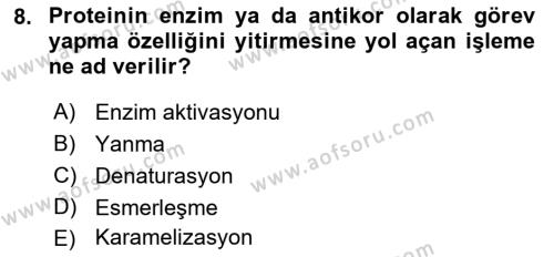 Genel Beslenme Dersi 2023 - 2024 Yılı (Final) Dönem Sonu Sınavı 8. Soru