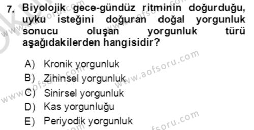 Verimlilik Yönetimi Dersi 2022 - 2023 Yılı Yaz Okulu Sınavı 7. Soru