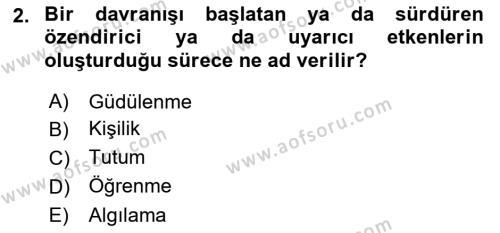 Tüketim Bilinci ve Bilinçli Tüketici Dersi 2023 - 2024 Yılı (Final) Dönem Sonu Sınavı 2. Soru