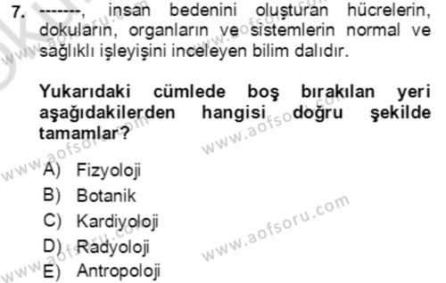 Toplumsal Yaşamda Aile Dersi 2021 - 2022 Yılı Yaz Okulu Sınavı 7. Soru