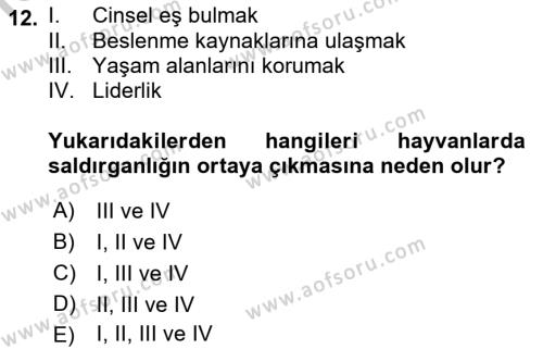 Aile Psikolojisi ve Eğitimi Dersi 2018 - 2019 Yılı Yaz Okulu Sınavı 12. Soru