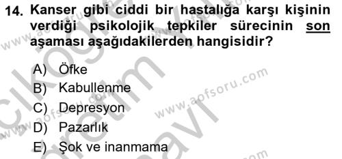 Aile Psikolojisi ve Eğitimi Dersi 2018 - 2019 Yılı Yaz Okulu Sınavı 14. Soru