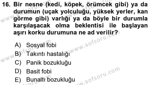 Aile Psikolojisi ve Eğitimi Dersi 2018 - 2019 Yılı Yaz Okulu Sınavı 16. Soru