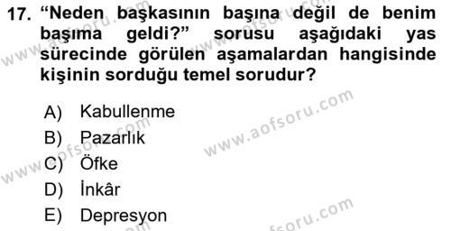 Aile Psikolojisi ve Eğitimi Dersi 2018 - 2019 Yılı Yaz Okulu Sınavı 17. Soru