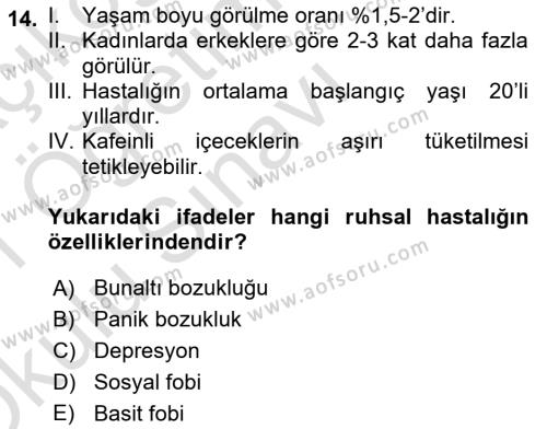 Aile Psikolojisi ve Eğitimi Dersi 2020 - 2021 Yılı Yaz Okulu Sınavı 14. Soru