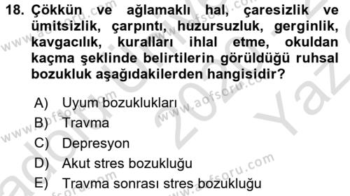 Aile Psikolojisi ve Eğitimi Dersi 2020 - 2021 Yılı Yaz Okulu Sınavı 18. Soru