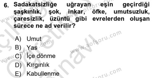 Aile Psikolojisi ve Eğitimi Dersi 2020 - 2021 Yılı Yaz Okulu Sınavı 6. Soru