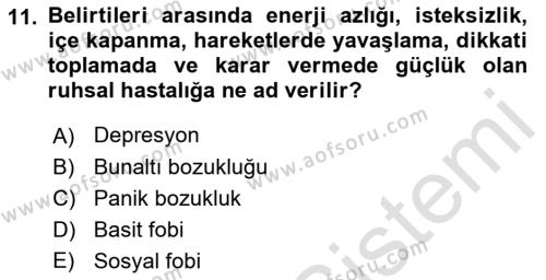 Aile Psikolojisi ve Eğitimi Dersi 2021 - 2022 Yılı (Final) Dönem Sonu Sınavı 11. Soru