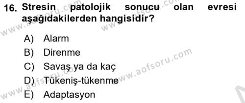 Aile Psikolojisi ve Eğitimi Dersi 2021 - 2022 Yılı (Final) Dönem Sonu Sınavı 16. Soru