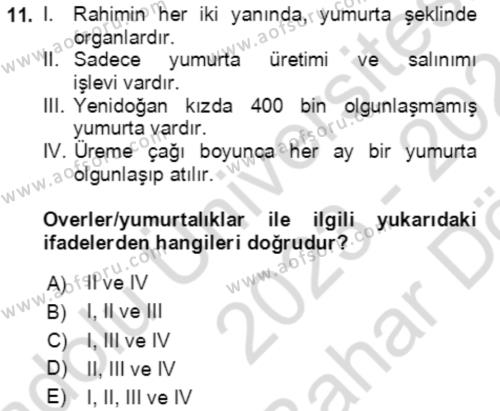 Aile Psikolojisi ve Eğitimi Dersi 2023 - 2024 Yılı (Vize) Ara Sınavı 11. Soru