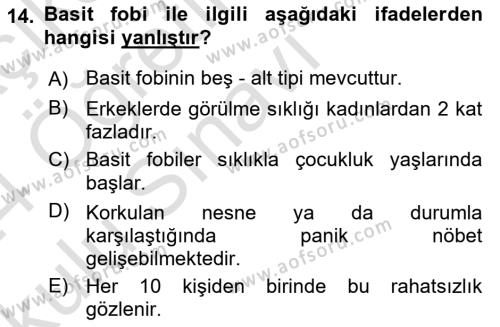 Aile Psikolojisi ve Eğitimi Dersi 2023 - 2024 Yılı Yaz Okulu Sınavı 14. Soru