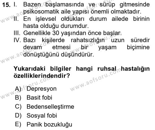 Aile Psikolojisi ve Eğitimi Dersi 2023 - 2024 Yılı Yaz Okulu Sınavı 15. Soru