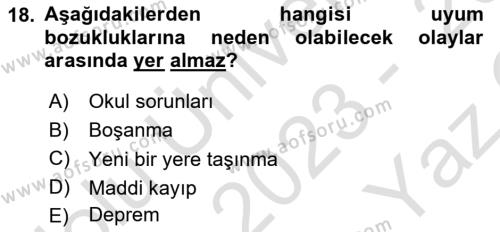 Aile Psikolojisi ve Eğitimi Dersi 2023 - 2024 Yılı Yaz Okulu Sınavı 18. Soru