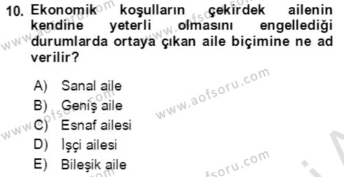 Aile Ekonomisi Dersi 2021 - 2022 Yılı (Vize) Ara Sınavı 10. Soru