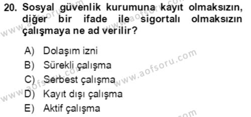 Aile Ekonomisi Dersi 2022 - 2023 Yılı Yaz Okulu Sınavı 20. Soru