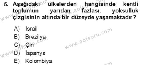 Aile Ekonomisi Dersi 2022 - 2023 Yılı Yaz Okulu Sınavı 5. Soru