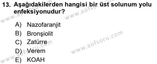 Aile Sağlığı Dersi 2018 - 2019 Yılı 3 Ders Sınavı 13. Soru