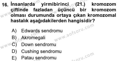 Aile Sağlığı Dersi 2018 - 2019 Yılı 3 Ders Sınavı 16. Soru