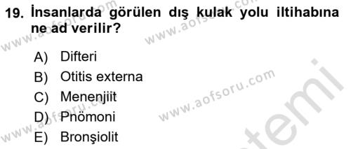 Aile Sağlığı Dersi 2018 - 2019 Yılı 3 Ders Sınavı 19. Soru