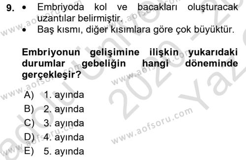 Aile Sağlığı Dersi 2020 - 2021 Yılı Yaz Okulu Sınavı 9. Soru