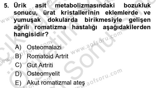 Aile Sağlığı Dersi 2023 - 2024 Yılı (Final) Dönem Sonu Sınavı 5. Soru