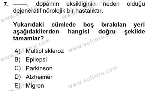 Aile Sağlığı Dersi 2023 - 2024 Yılı (Final) Dönem Sonu Sınavı 7. Soru