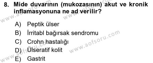 Aile Sağlığı Dersi 2023 - 2024 Yılı (Final) Dönem Sonu Sınavı 8. Soru