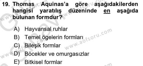 Ortaçağ Felsefesi 1 Dersi 2017 - 2018 Yılı (Vize) Ara Sınavı 19. Soru