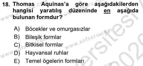 Ortaçağ Felsefesi 1 Dersi 2019 - 2020 Yılı (Vize) Ara Sınavı 18. Soru