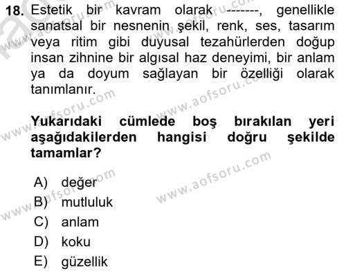 Felsefe Dersi 2022 - 2023 Yılı Yaz Okulu Sınavı 18. Soru