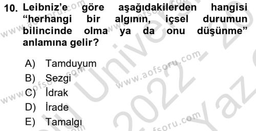 Modern Felsefe 1 Dersi 2022 - 2023 Yılı Yaz Okulu Sınavı 10. Soru