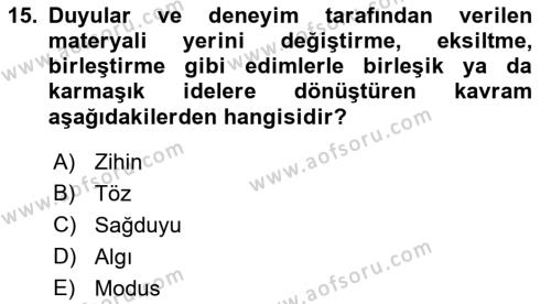 Modern Felsefe 1 Dersi 2023 - 2024 Yılı (Final) Dönem Sonu Sınavı 15. Soru