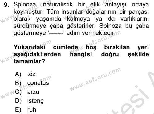 Modern Felsefe 1 Dersi 2023 - 2024 Yılı Yaz Okulu Sınavı 9. Soru