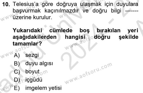 Modern Felsefe 1 Dersi 2024 - 2025 Yılı (Vize) Ara Sınavı 10. Soru