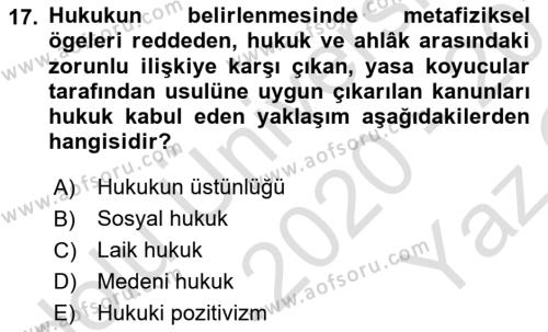 Çağdaş Felsefe 2 Dersi 2020 - 2021 Yılı Yaz Okulu Sınavı 17. Soru