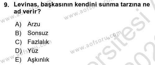 Çağdaş Felsefe 2 Dersi 2021 - 2022 Yılı Yaz Okulu Sınavı 9. Soru