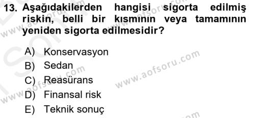 Finansal Kurumlar Dersi 2018 - 2019 Yılı (Final) Dönem Sonu Sınavı 13. Soru