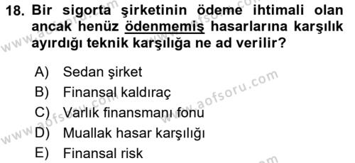 Finansal Kurumlar Dersi 2018 - 2019 Yılı (Final) Dönem Sonu Sınavı 18. Soru